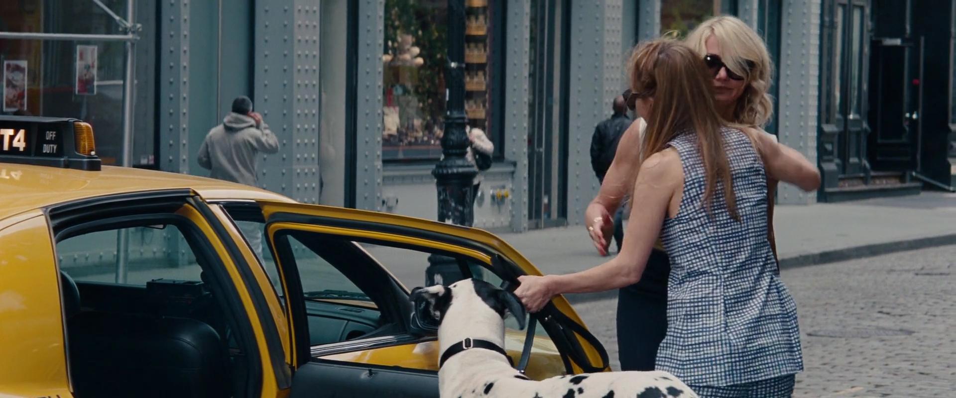 2014-TheOtherWoman-0792.jpg 2014-TheOtherWoman-0792.jpg