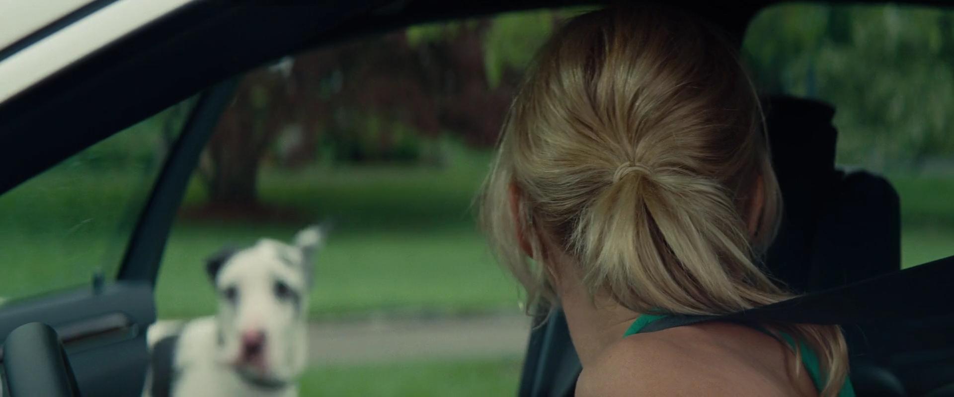 2014-TheOtherWoman-0989.jpg 2014-TheOtherWoman-0989.jpg