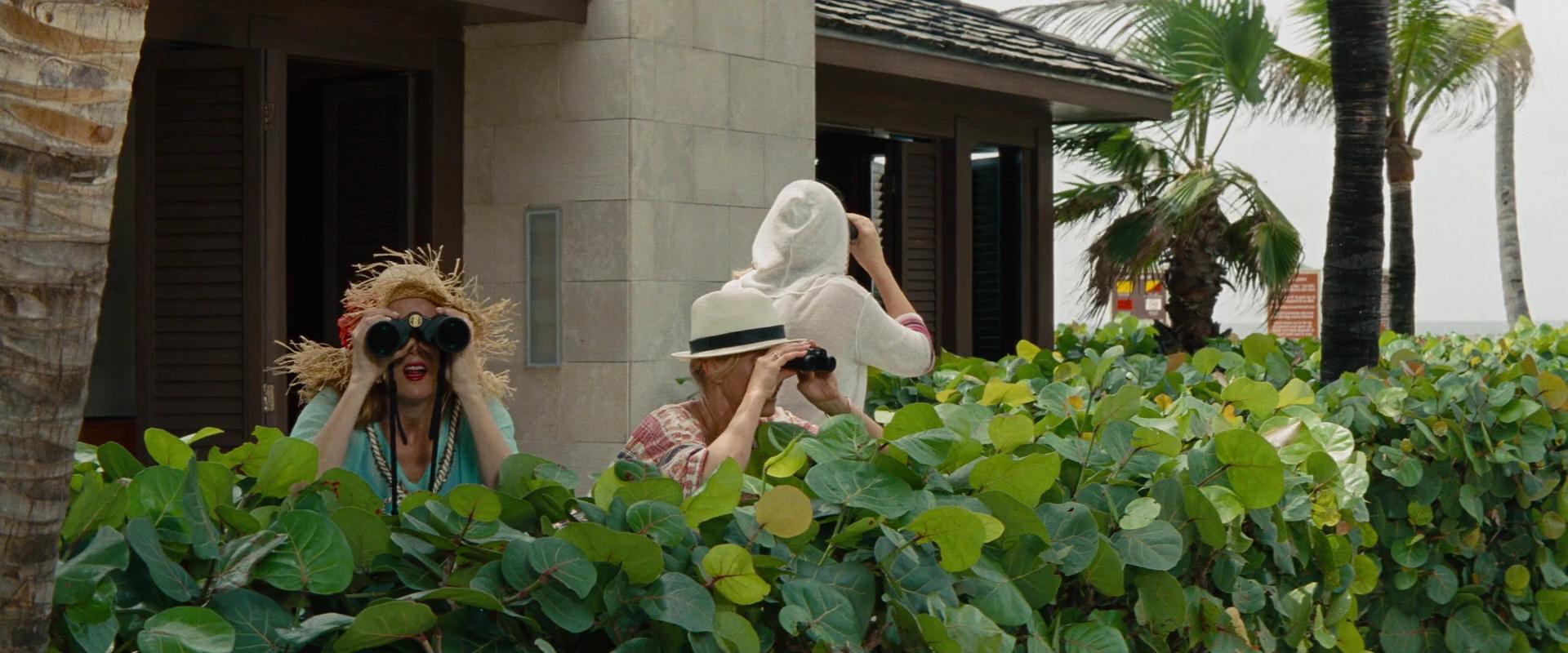 2014-TheOtherWoman-1823.jpg 2014-TheOtherWoman-1823.jpg