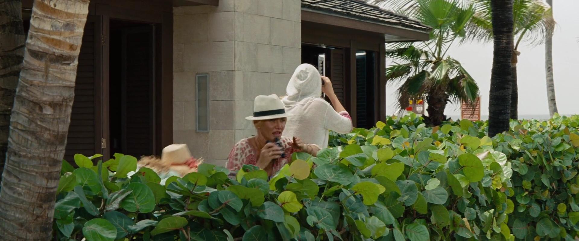 2014-TheOtherWoman-1826.jpg 2014-TheOtherWoman-1826.jpg