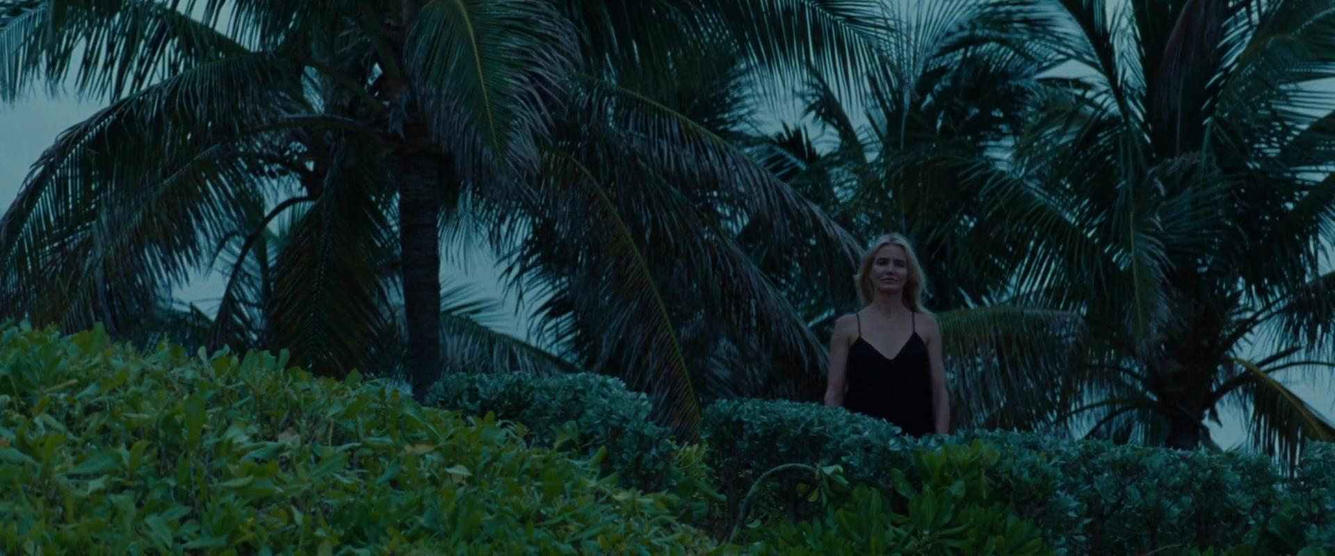 2014-TheOtherWoman-1931.jpg 2014-TheOtherWoman-1931.jpg