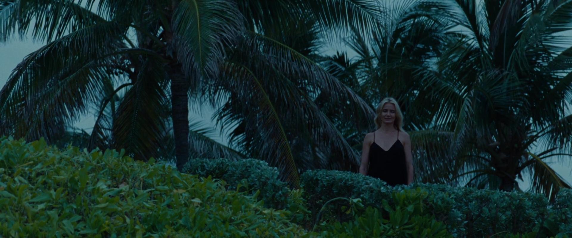 2014-TheOtherWoman-1933.jpg 2014-TheOtherWoman-1933.jpg