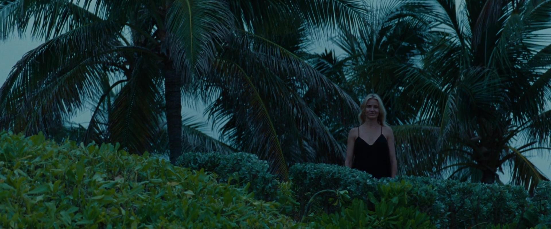 2014-TheOtherWoman-1934.jpg 2014-TheOtherWoman-1934.jpg
