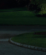 2014-TheOtherWoman-0298.jpg