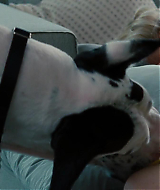 2014-TheOtherWoman-0749.jpg