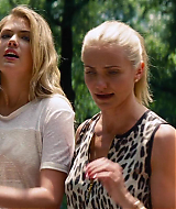 2014-TheOtherWoman-1537.jpg