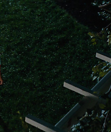 2014-TheOtherWoman-1571.jpg