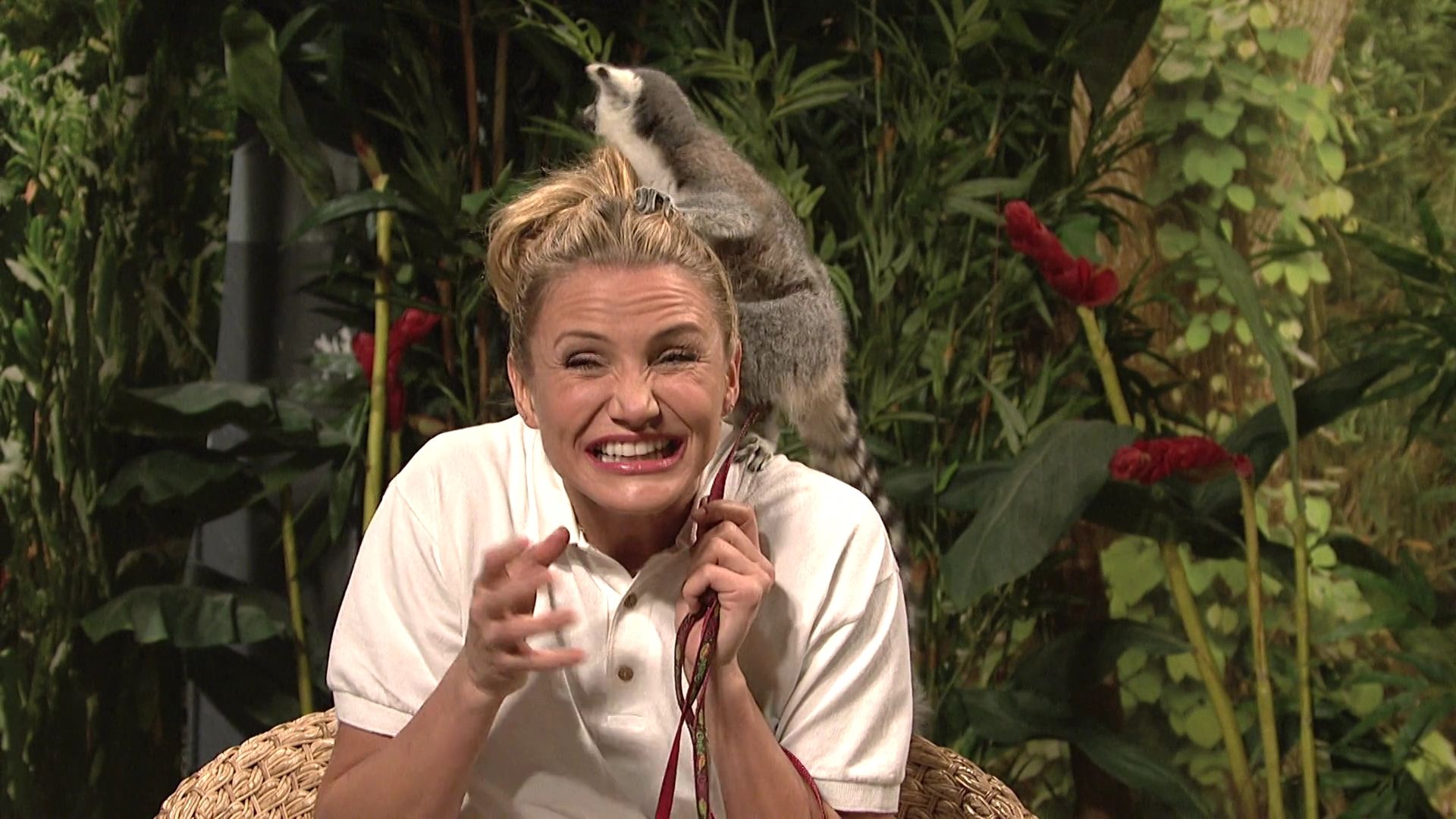 SNL-S40E07-556.jpg SNL-S40E07-556.jpg