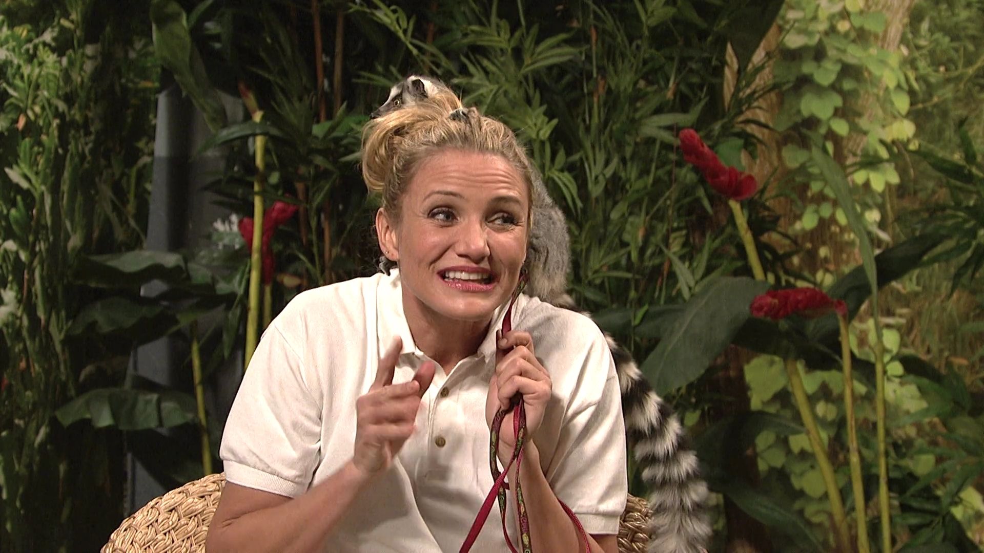 SNL-S40E07-557.jpg SNL-S40E07-557.jpg
