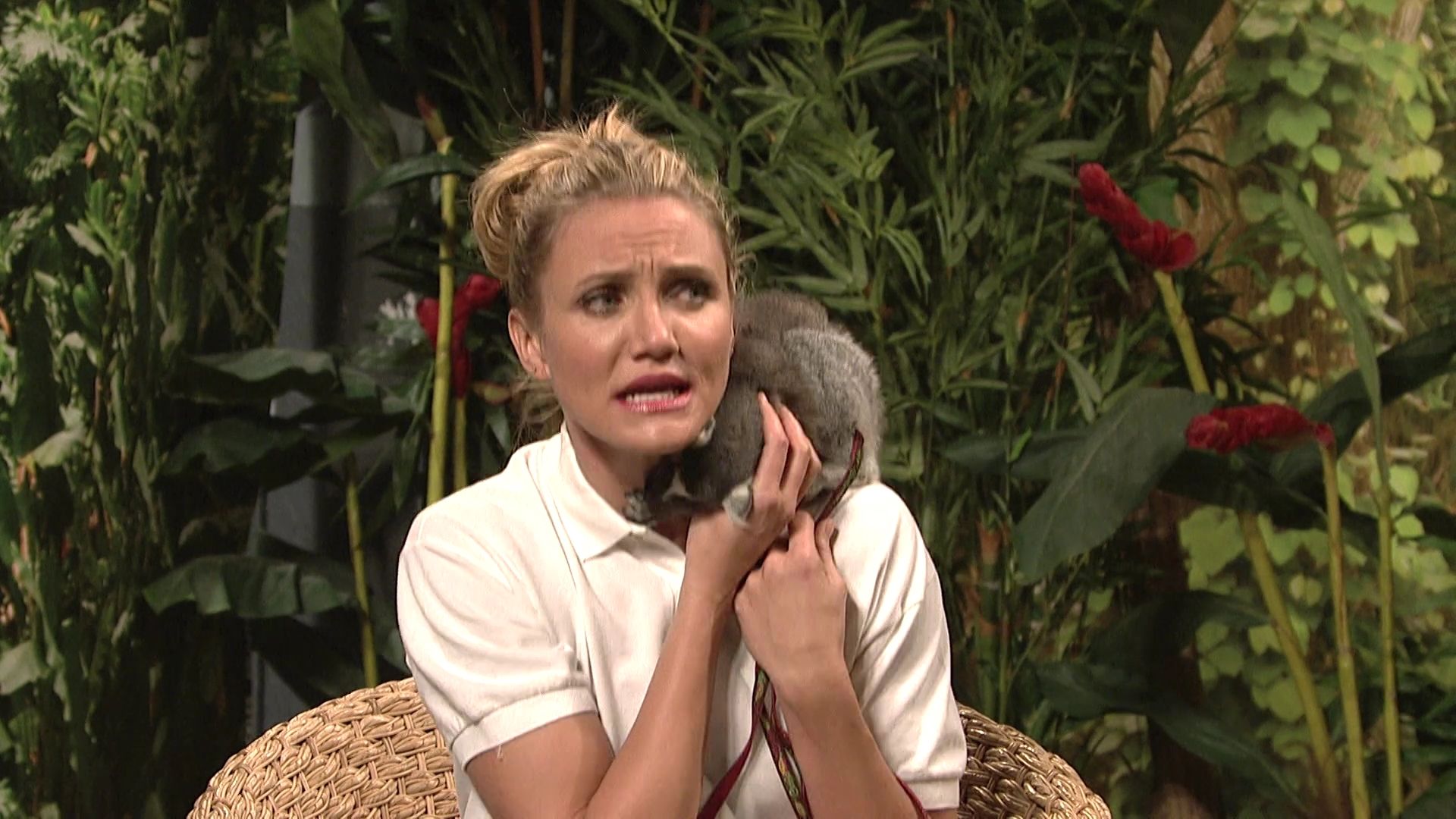 SNL-S40E07-578.jpg SNL-S40E07-578.jpg