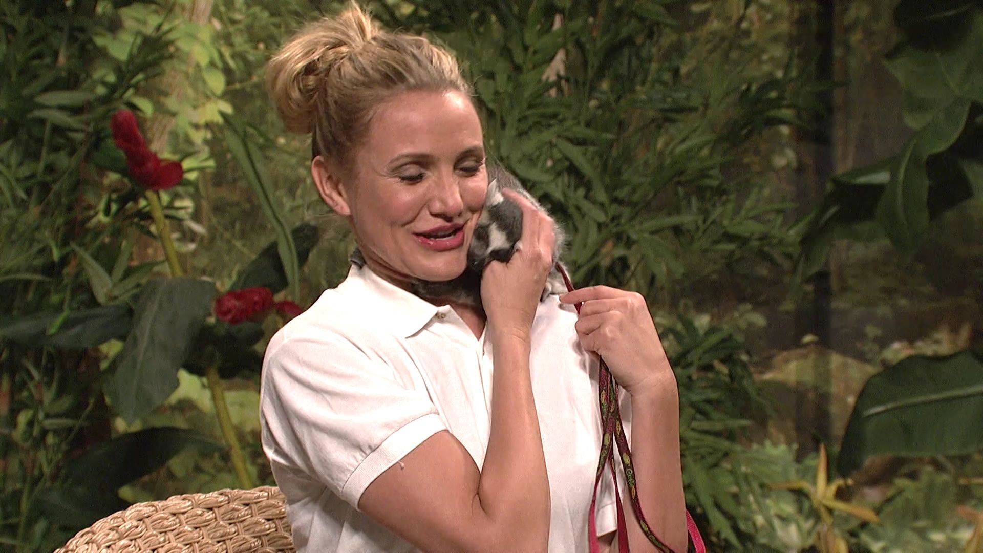 SNL-S40E07-600.jpg SNL-S40E07-600.jpg