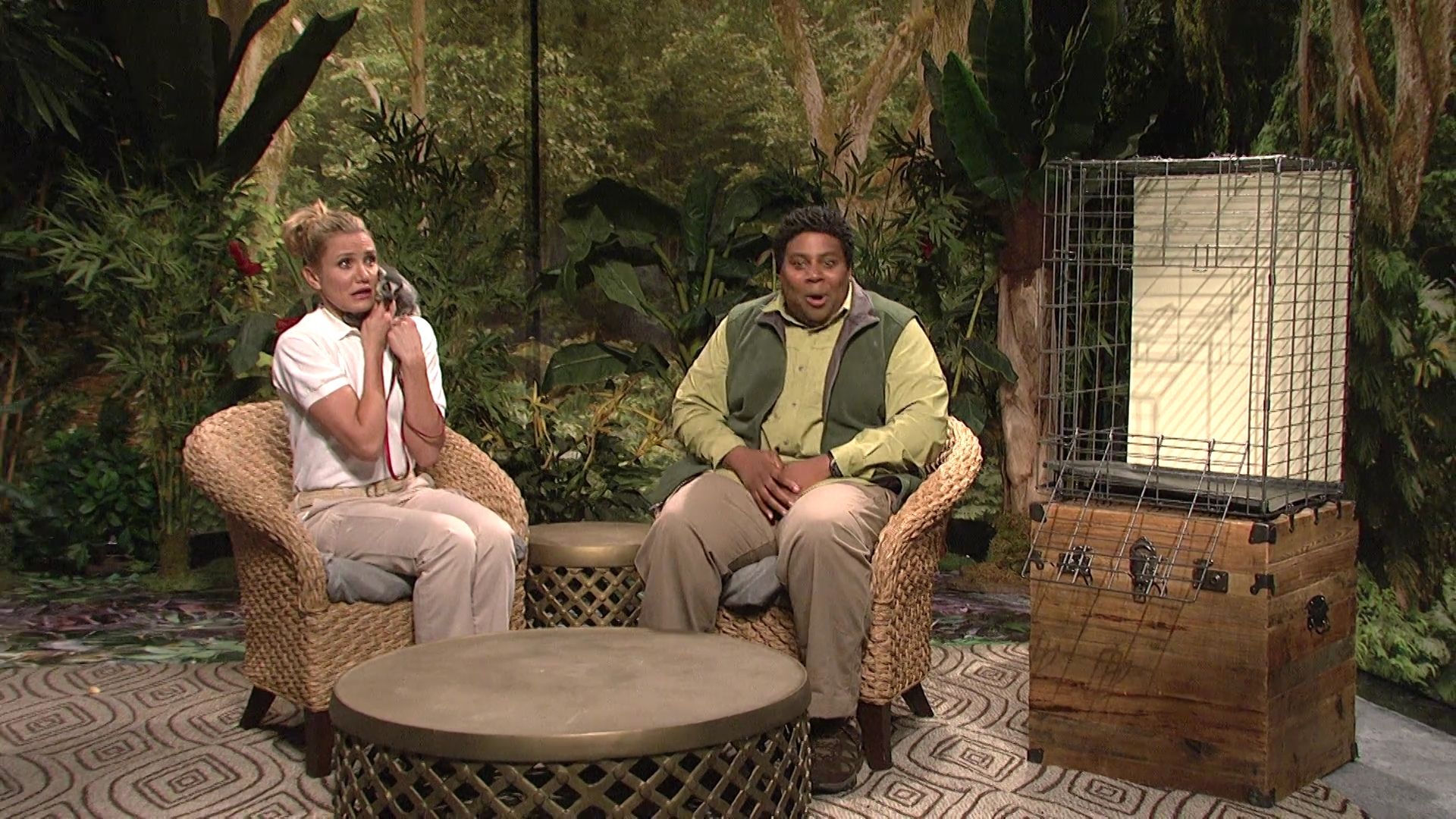 SNL-S40E07-610.jpg SNL-S40E07-610.jpg